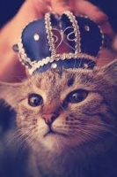 Амлет на улице, на природе, в машине, в необычных местах  – Фото 1